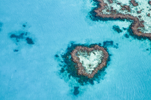 Reef Safe