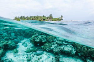 Sunscreen that’s good for our reefs and good for you