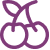 cherry purple