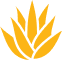 Hydrating Aloe Vera