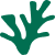 reef baby green