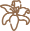 vanilla extract